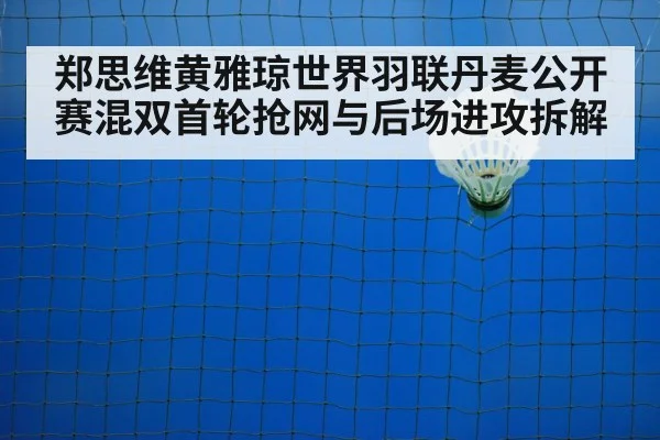 郑思维黄雅琼世界羽联丹麦公开赛混双首轮抢网与后场进攻拆解